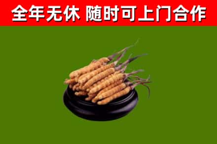 麒麟烟酒回收冬虫夏草.jpg